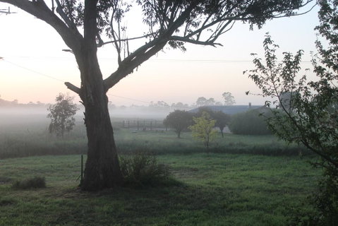Abington Farm - Yamba Accommodation 0
