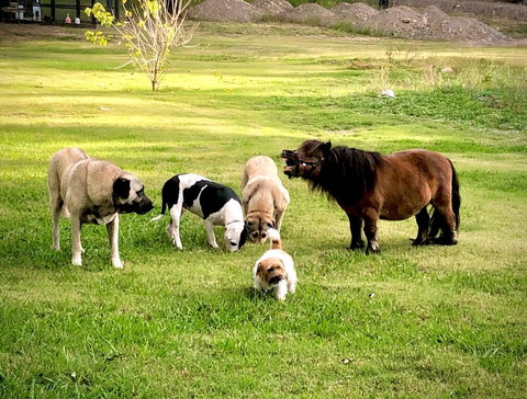 Absolute Riverfront Shipping Container Cabin - Yamba Accommodation 2