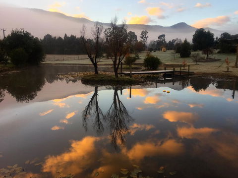 Acheron Acres Riverside - Yamba Accommodation 2