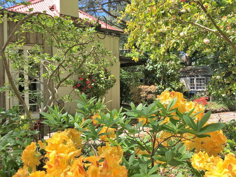 Adelaide Hills 'Camellia Cottage' - WiFi - Yamba Accommodation 1
