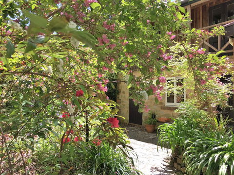 Adelaide Hills 'Camellia Cottage' - WiFi - Yamba Accommodation 2