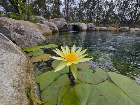 Eureka Station Camping Retreat - Yamba Accommodation 4