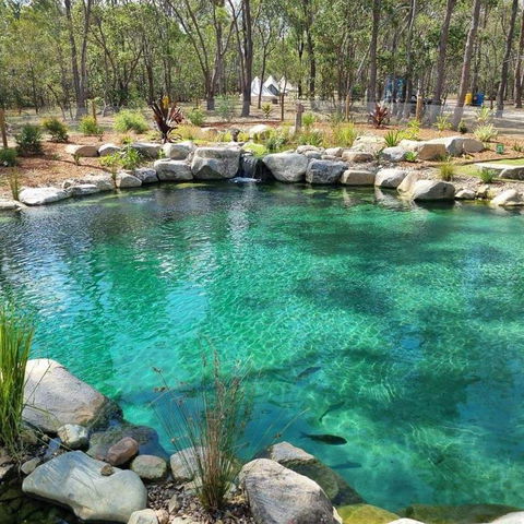 Eureka Station Camping Retreat - Yamba Accommodation 1