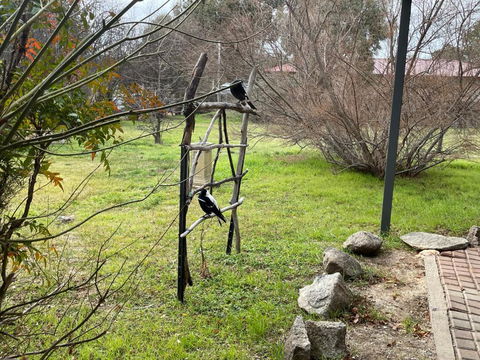 Florence Lodge - Yamba Accommodation 4
