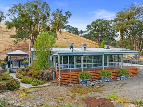 Golden Ash Grove Eco Farm - Yamba Accommodation 0