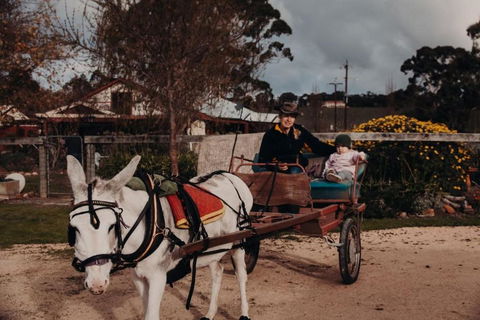 Gums N Roses By Tiny Away - Yamba Accommodation 3