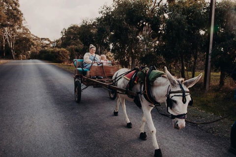 Gums N Roses By Tiny Away - Yamba Accommodation 2