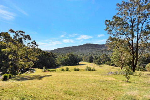 Hunter Valley Kangaroo Retreat With 60 Kangaroos - Yamba Accommodation 1