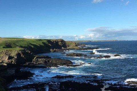 Adrift At Ventnor On Phillip Island, Pets - Yamba Accommodation 1