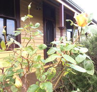 Albion Cottage - Yamba Accommodation