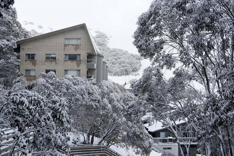 Alpine View Apartments - Yamba Accommodation 0