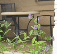 Amalie Cottage Waikerie - Yamba Accommodation