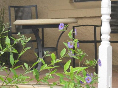 Amalie Cottage Waikerie - Yamba Accommodation 0