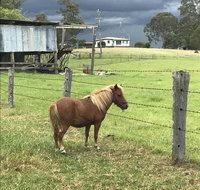 AMs Farm Stay
