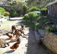 Anchorage Apartments - Yamba Accommodation