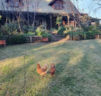 Angaston by the Winter Creek - Yamba Accommodation
