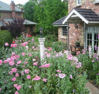 Annie's cottage