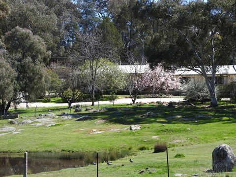 Annies Holiday Units - Yamba Accommodation 3