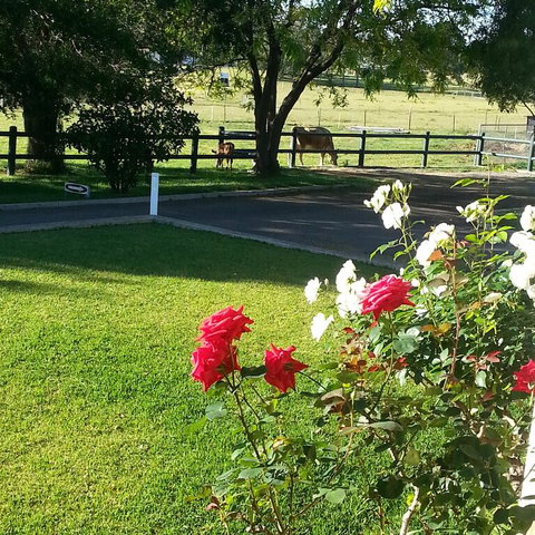 Appin Homestay B & B - Yamba Accommodation 3