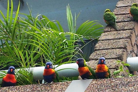 Aquajet Motel - Yamba Accommodation 3
