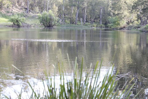 Arcadian Cabin - Southern Highlands River Retreat - Yamba Accommodation 0
