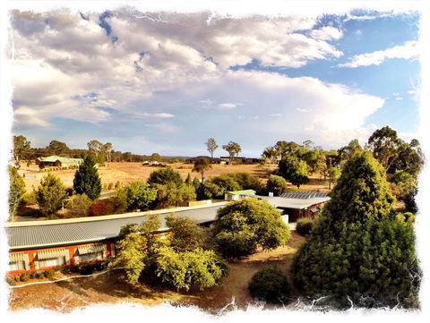 Armidale Rose Villa Motel - Yamba Accommodation 1