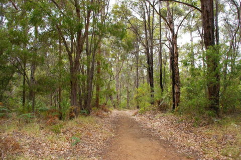 Ashleigh - Yamba Accommodation 2