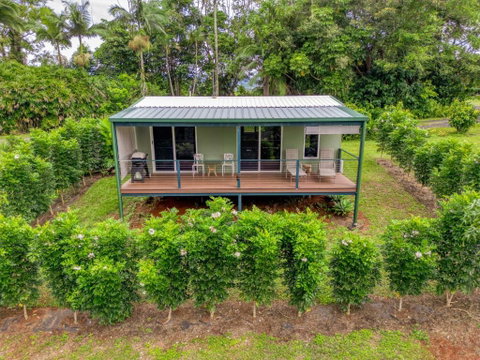 Mena Creek Flower House - Yamba Accommodation 2