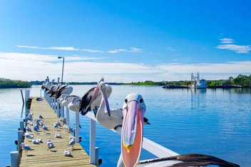 Moby Dick Waterfront Resort Motel with Yamba Accommodation