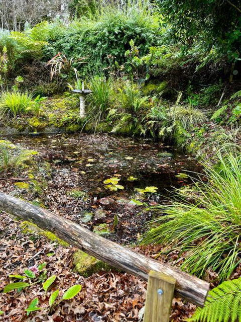 Mountain Views In Vesper Victoria - Yamba Accommodation 1