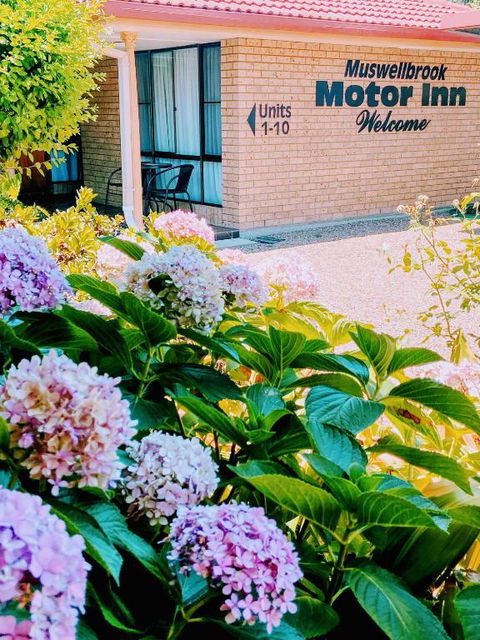 Muswellbrook Motor Inn - Yamba Accommodation 0