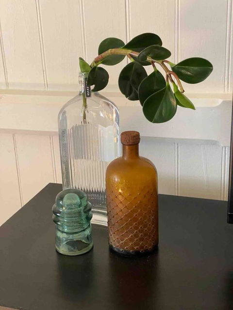 Nice To Have So Much Privacy With No Other Houses Near By - Yamba Accommodation 3