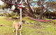 No 34 Where Nature Meets The Ocean Pet Friendly - thumb 2