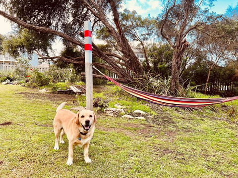 No 34 Where Nature Meets The Ocean Pet Friendly - Yamba Accommodation 2