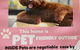 No 34 Where Nature Meets The Ocean Pet Friendly - thumb 1