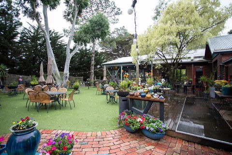 Oakdene Vineyards Guesthouse - Yamba Accommodation 1