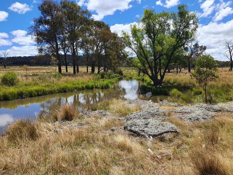 Parlour Mountain Cottage - Yamba Accommodation 1