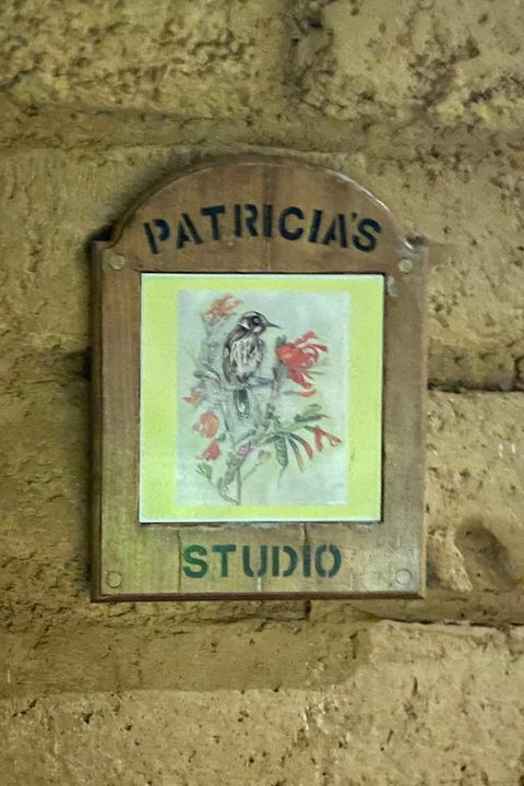 Patricias Garden Studio - Yamba Accommodation 2