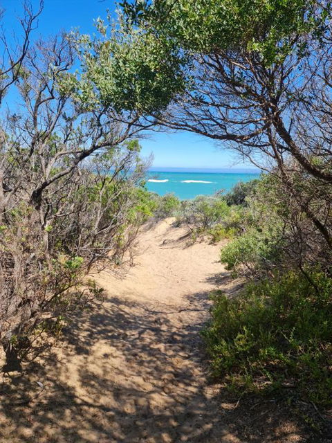 PIECE OF PARADISE, Huge 4 Bedroom Haven - Yamba Accommodation 0