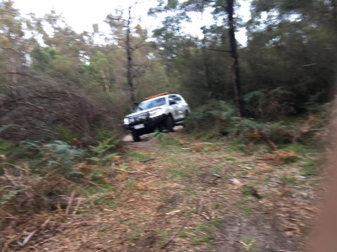 PNL4WDriving Bairnsdale Hub - Yamba Accommodation 0