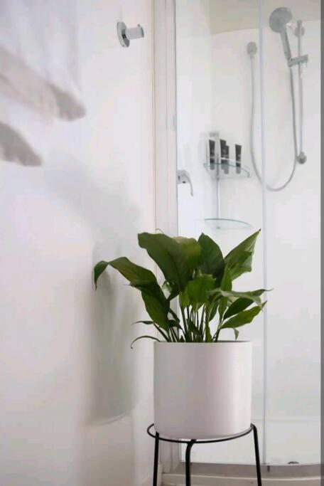 Poppies Retreat - Yamba Accommodation 2