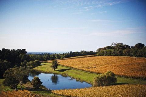 Port Phillip Estate - Yamba Accommodation 2