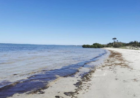 Private Beach House For Your Perfect Family Holiday - Yamba Accommodation 2