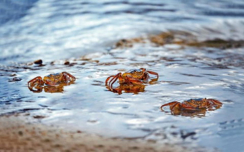 Private Beach House For Your Perfect Family Holiday - Yamba Accommodation 3