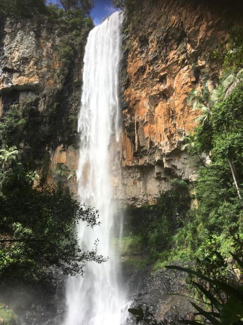 Purling Brook Falls Gwongorella - Yamba Accommodation 1