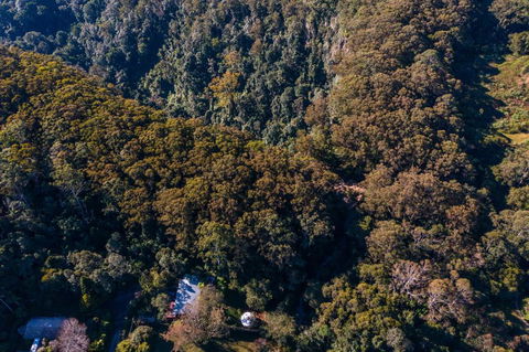 Purling Brook Falls Gwongorella - Yamba Accommodation 2