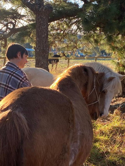 Private Country Escape With Valley Views - Yamba Accommodation 3