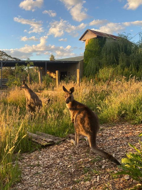 Private Country Escape With Valley Views - Yamba Accommodation 2