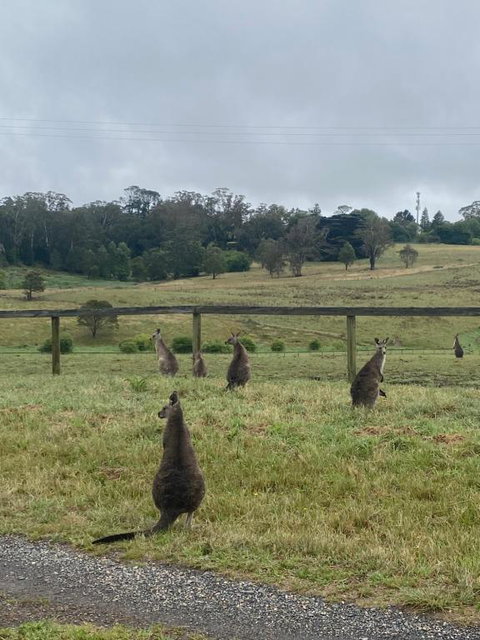 Private Country Escape With Valley Views - Yamba Accommodation 1