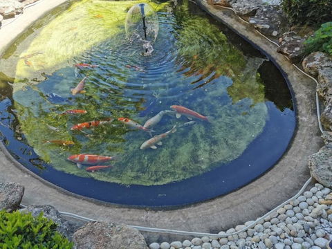 Attached Self Service Waterfront Whole Villa - Sydney - Yamba Accommodation 2